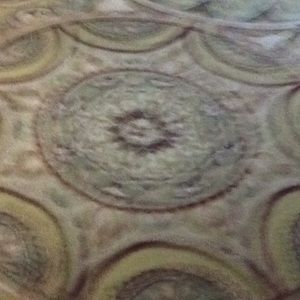 Meet your Posher, Sam